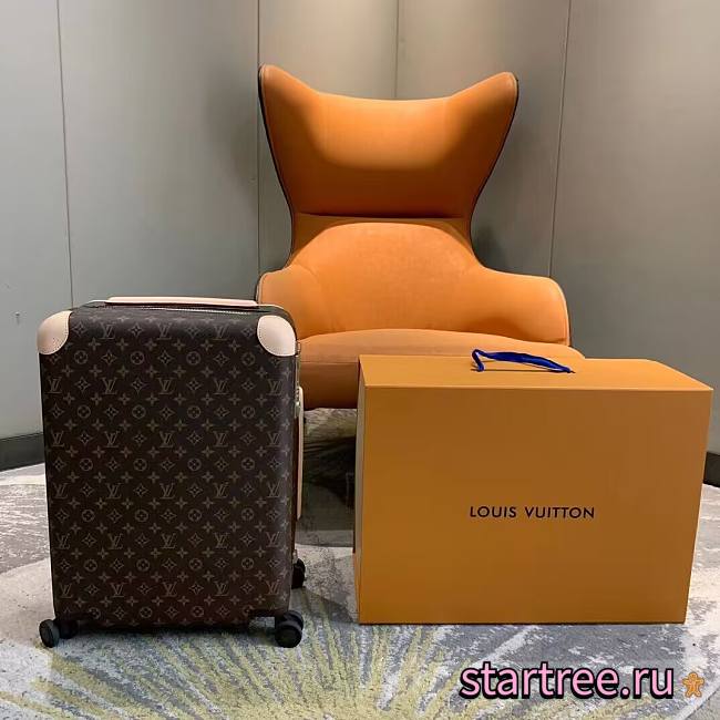 Louis Vuitton Travel box—53cm*38*cm*21cm - 1