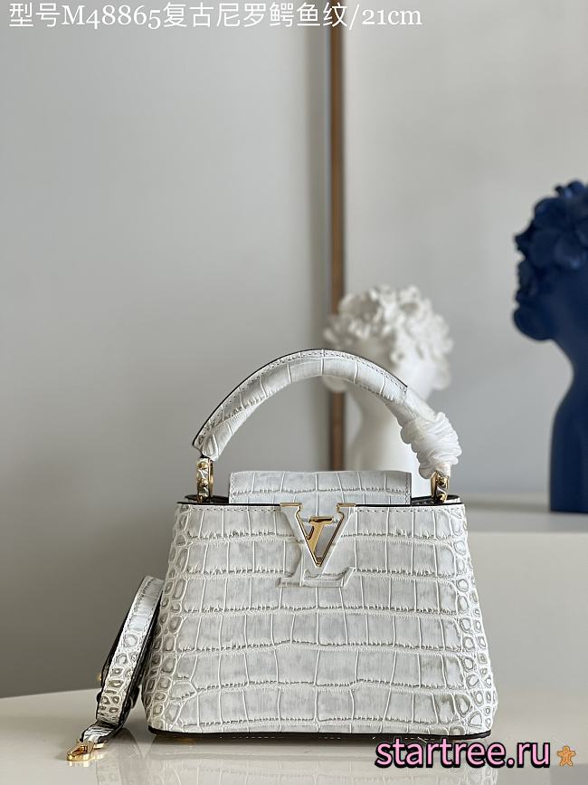 Louis Vuitton|Crocodile Handbag In White - 1