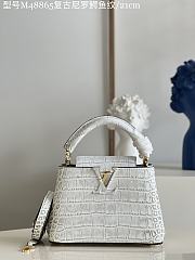 Louis Vuitton|Crocodile Handbag In White - 1