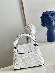 Louis Vuitton|Crocodile Handbag In White - 4