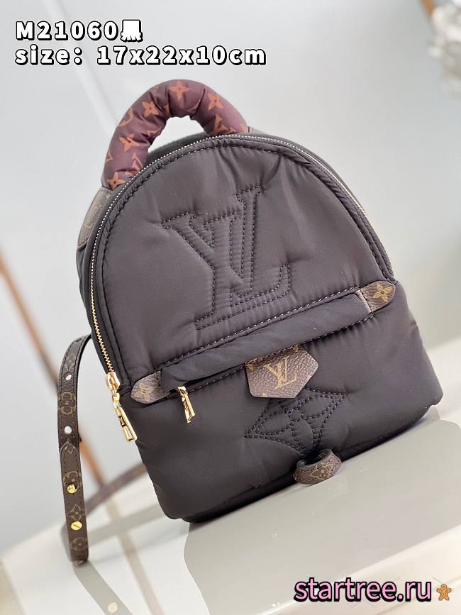 Louis Vuitton Pillow Palm Springs Backpack-17cm - 1