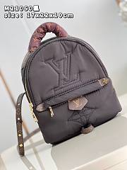 Louis Vuitton Pillow Palm Springs Backpack-17cm - 1