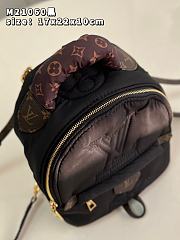 Louis Vuitton Pillow Palm Springs Backpack-17cm - 4