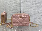 DIOR | Caro Pink belt pouch with chain-19*5*14cm - 4