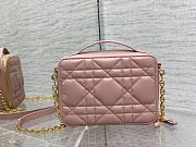 DIOR | Caro Pink belt pouch with chain-19*5*14cm - 2