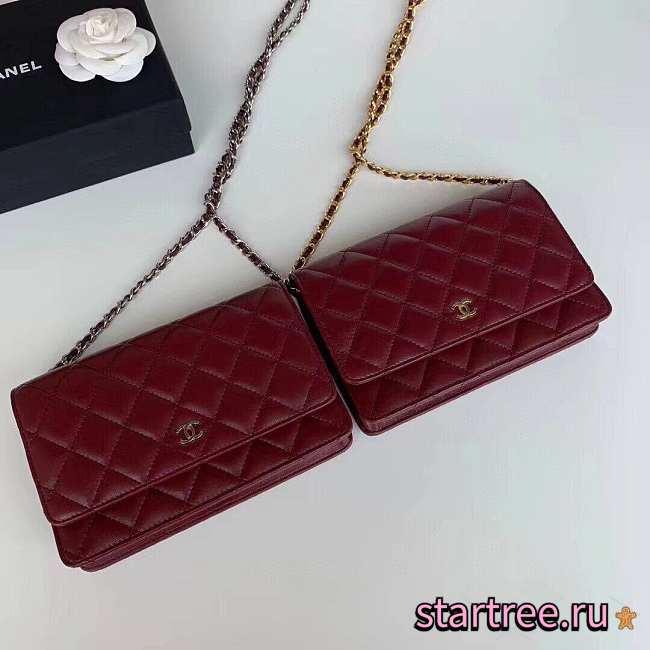 Chanel Woc Chain Bag-19.5×13×3.5cm - 1