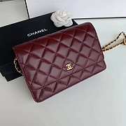 Chanel Woc Chain Bag-19.5×13×3.5cm - 5