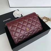 Chanel Woc Chain Bag-19.5×13×3.5cm - 3
