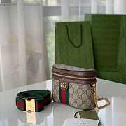 GUCCI Ophidia cosmetic case-18X12X6 - 4