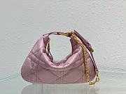 Dior Caro Shoulder Bags Pink-25 x 16 x 2.5 cm - 1