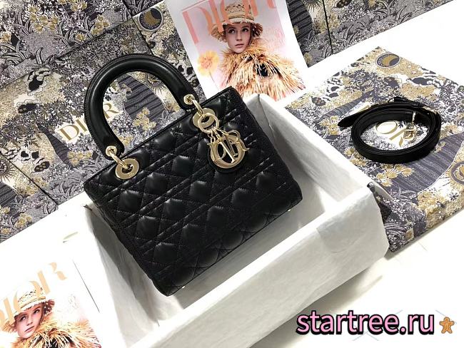 Dior | Lady Bag1605-24cm - 1