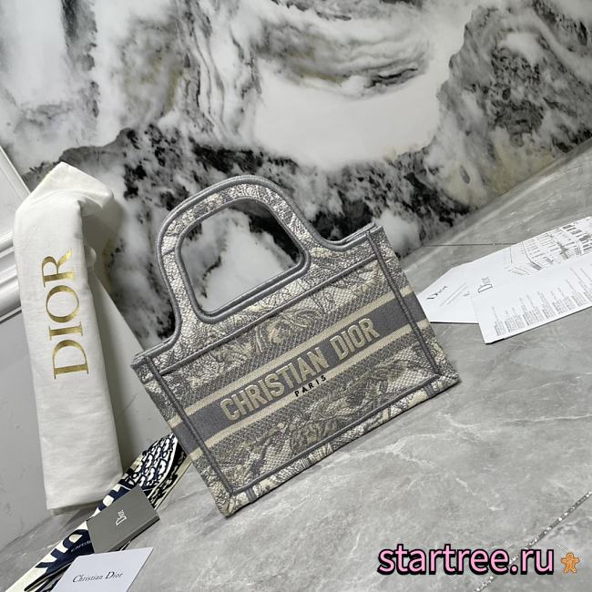 DIOR MINI BOOK TOTE22,5 x 15 x 6 cm - 1