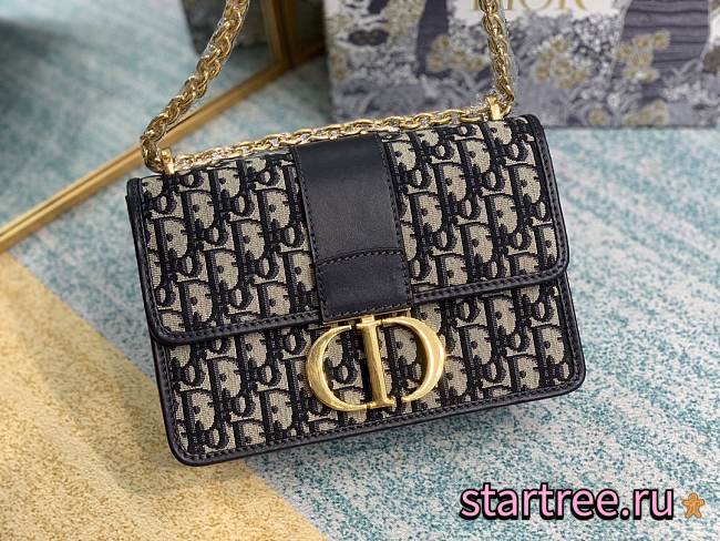 DIOR 30 MONTAIGNE CHAIN BAG Blue Dior Oblique Jacquard-24*17*8cm - 1