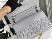 CHANEL REISSUE 2.55 Double Flap Bag-19.5cm*28cm*7.5cm - 5