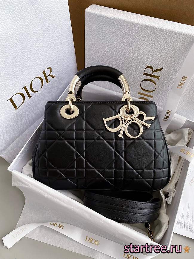 Dior Lambskin 2WAY Crossbody-25cm - 1