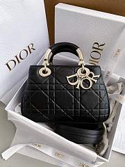 Dior Lambskin 2WAY Crossbody-25cm - 1