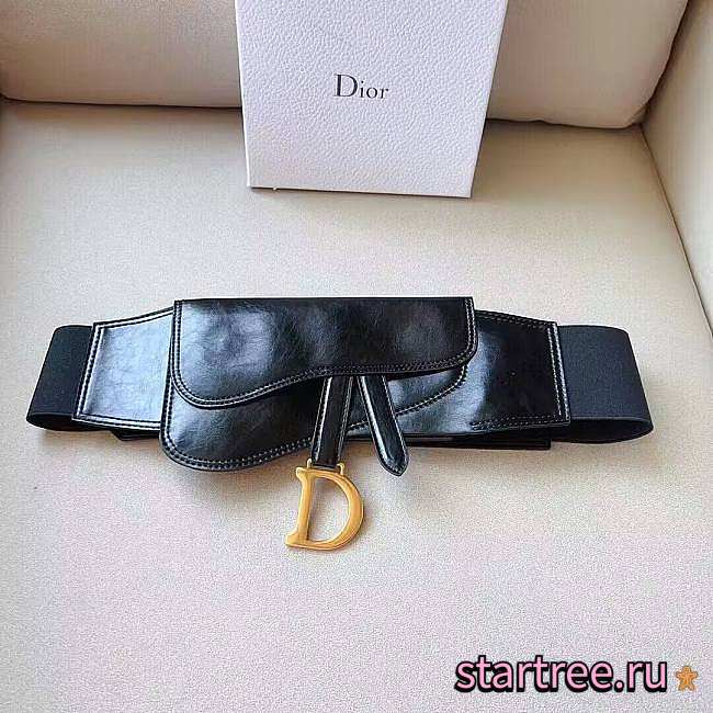 Dior Saddle Belt 12cm - 1