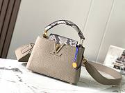 Louis Vuitton Galet Taurillon Leather and Python Capucines BB Bag-21cm - 1