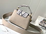 Louis Vuitton Galet Taurillon Leather and Python Capucines BB Bag-21cm - 5