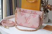 Louis Vuitton | Multi Pochette Accessoire M58520 Pink - 1