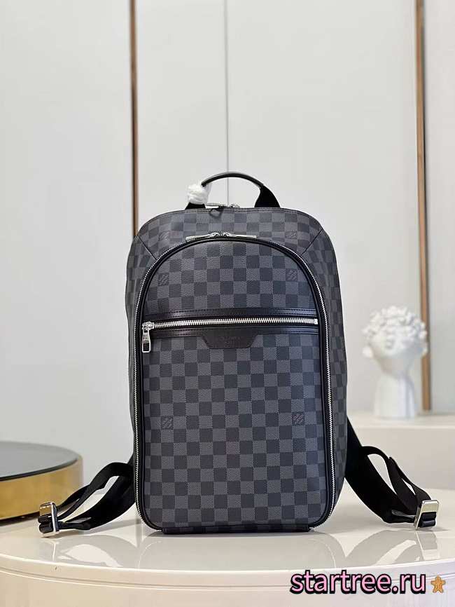 Louis Vuitton Backpack N45287-42cm - 1