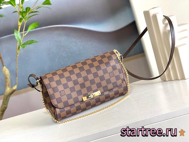 Louis Vuitton Favorite CohotBag Damier Ebene MM - 1