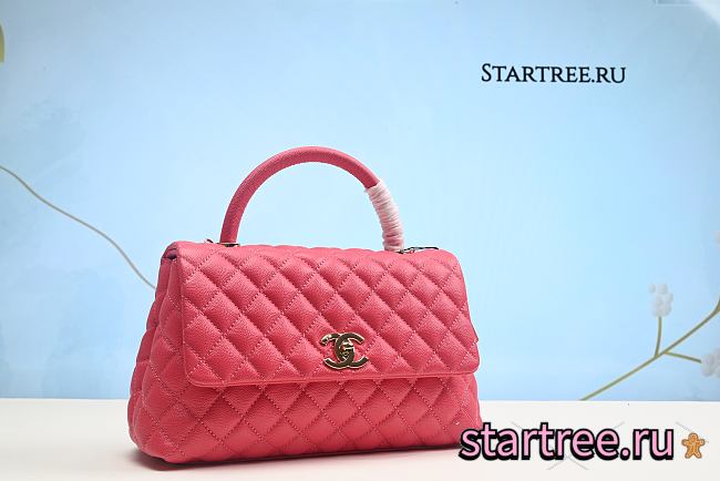 Chanel | CoCo Handle Red Bag Light Gold -29cm  - 1