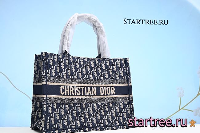 Christian Dior Book Tote Oblique Canvas Medium - 1