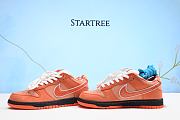 Nike SB-FD8776-800 - 3