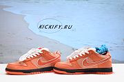 Nike SB-FD8776-800 - 2