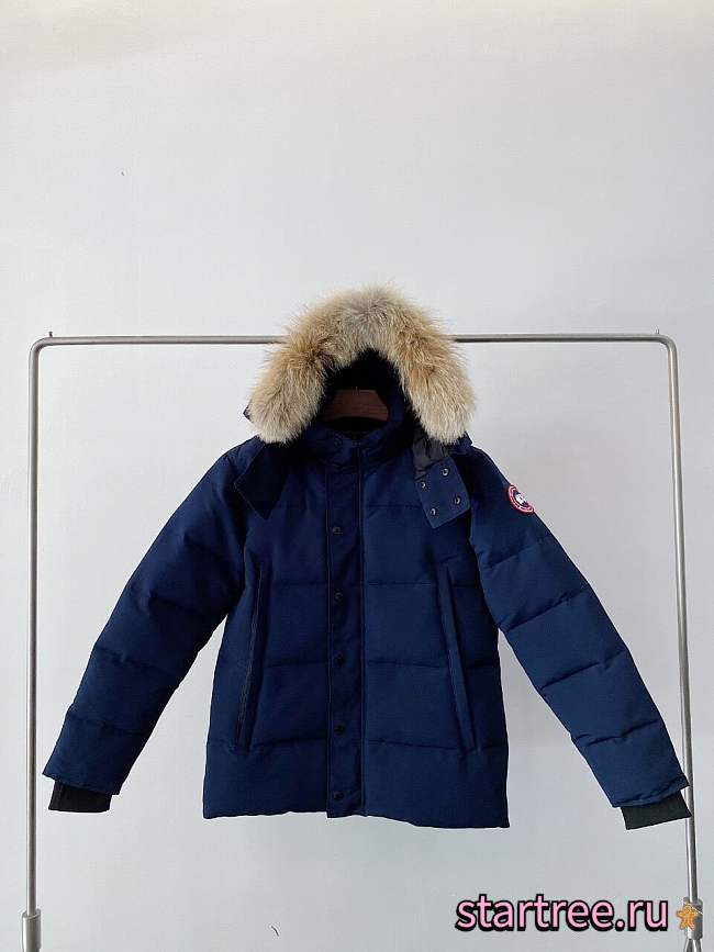 Canada Goose Down Jacket - 1