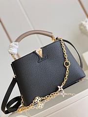 Louis Vuitton Galet Taurillon Leather and Python Capucines BB Bag Black-27cm - 3