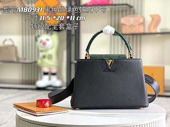 Louis Vuitton Capucines PM with Green Python Handle