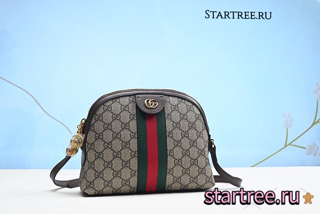 GUCCI | Ophidia Camera Bag-499621 - 1