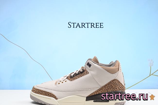 Air Jordan 3 Retro Palomino CT8532-102 - 1