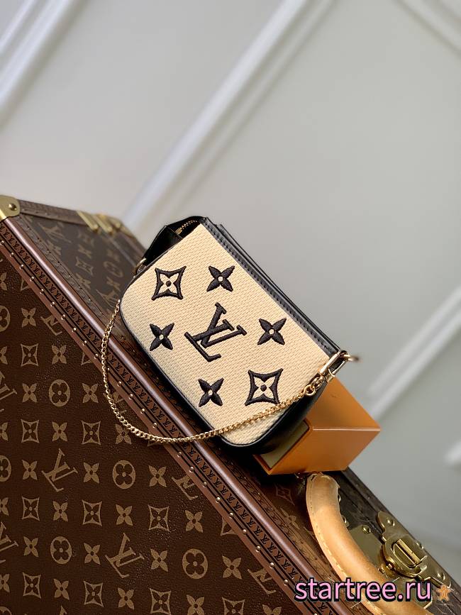 Louis Vuitton Mini Pochette - 1