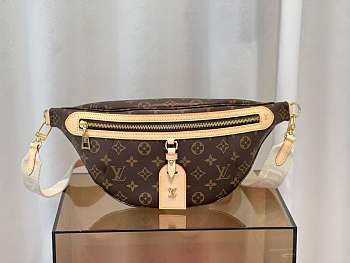 Louis Vuitton Bumbag M46784