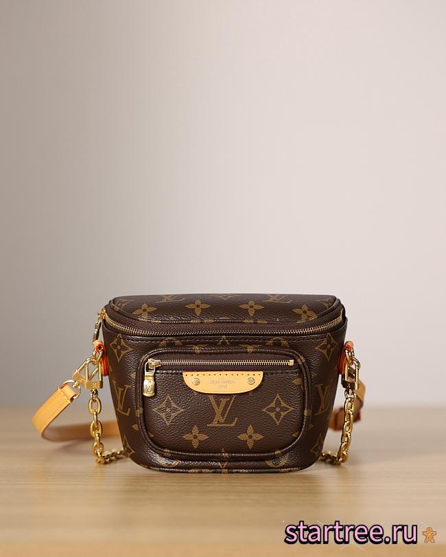 Louis Vuitton Mini Bumbag M82335 - 1