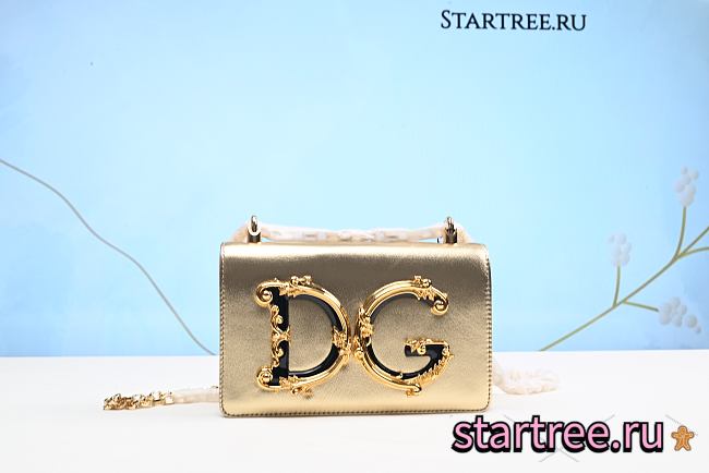 Dolce & Gabbana DG Girls Chain Crossbody Leo bag - 21 x 5 x 13.5 cm - 1