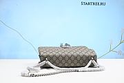 Gucci Dionysus Shoulder Bag (Real Shot) - 4