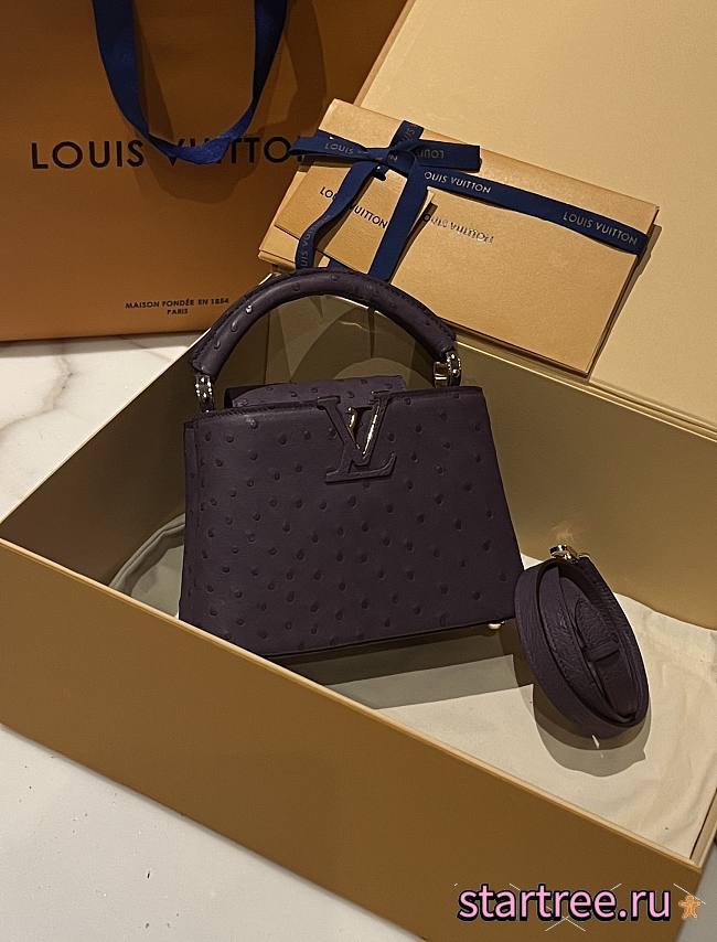 Louis Vuitton Capucines BB Ostrich Leather 001 - 1