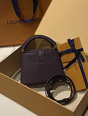 Louis Vuitton Capucines BB Ostrich Leather 001 - 6