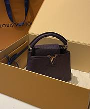 Louis Vuitton Capucines BB Ostrich Leather 001 - 4