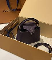 Louis Vuitton Capucines BB Ostrich Leather 001 - 2
