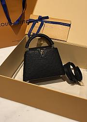 Louis Vuitton Capucines BB Ostrich Leather 002 - 1