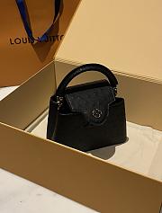 Louis Vuitton Capucines BB Ostrich Leather 002 - 5