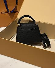 Louis Vuitton Capucines BB Ostrich Leather 002 - 6