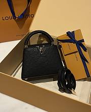 Louis Vuitton Capucines BB Ostrich Leather 002 - 4