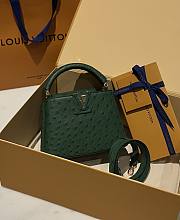 Louis Vuitton Capucines BB Ostrich Leather 003 - 1