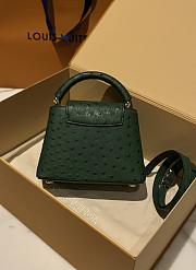 Louis Vuitton Capucines BB Ostrich Leather 003 - 5